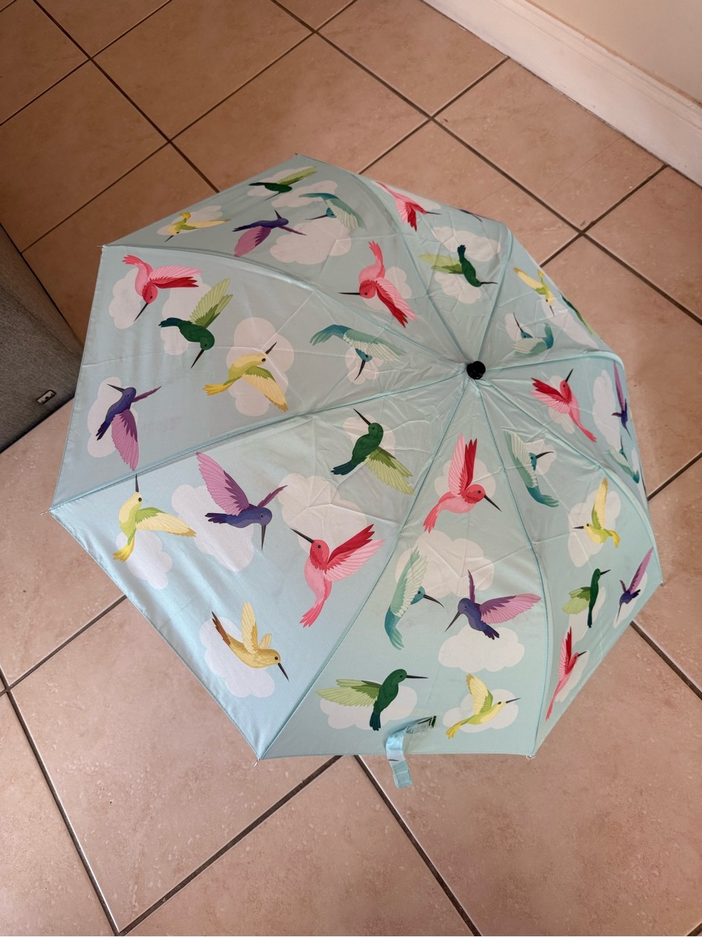 NWT Light Blue Hummingbird compact umbrella with a colorful hummingbird & cloud
